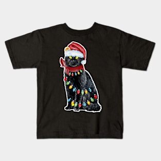 Black Cat Christmas Light Funny Cat Lover Christmas Kids T-Shirt